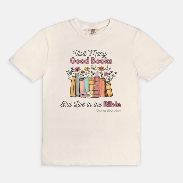 Live in the Bible tee (multiple colors)