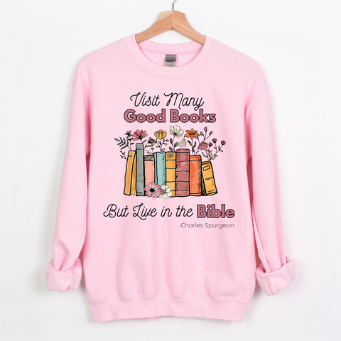 Live in the Bible sweatshirt (multiple colors)