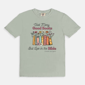 Live in the Bible tee (multiple colors)