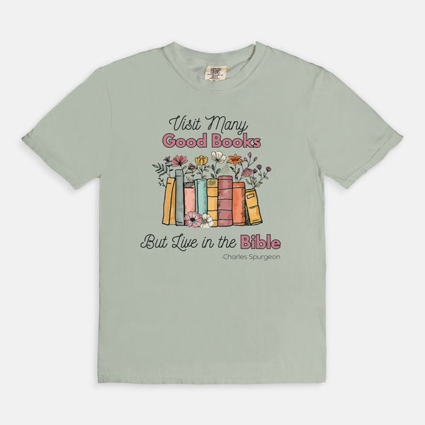 Live in the Bible tee (multiple colors)