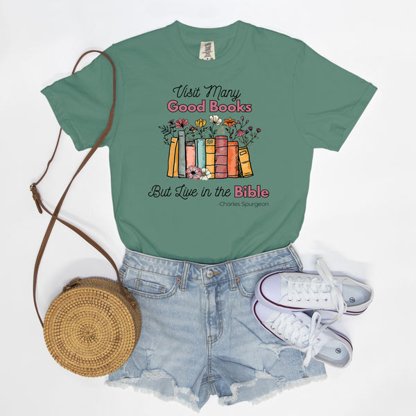 Live in the Bible tee (multiple colors)